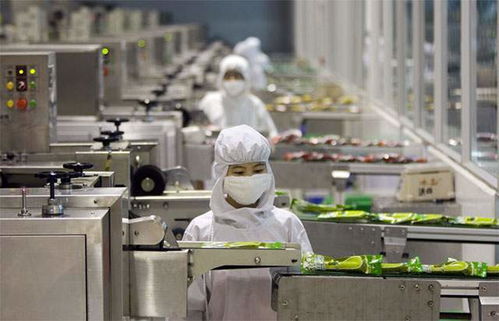 食品厂锅炉选择指南 蒸汽供应与散装食品需求的精准匹配