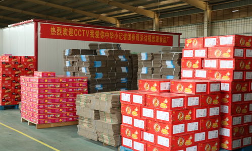 小记者探访食品厂 体验采访中的真实发现与成长收获